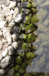 Still water. Image courtesy of stock.xchng®