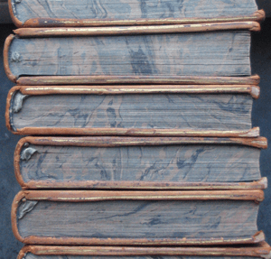 Book stack. Image courtesy of stock.xchng®