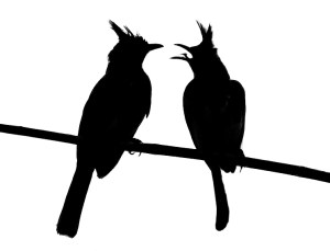Silhouette of birds. Image courtesy of stock.xchng® 